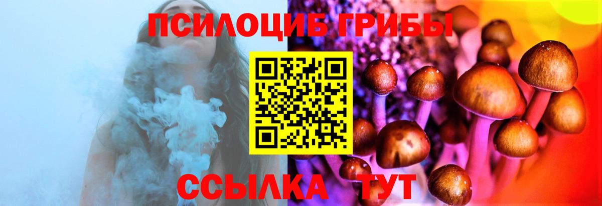 Кизилюрт  Галлюциногенные грибы мицелий  где купить наркоту  Вход с VPN  Галлюциногенные грибы мухоморы 